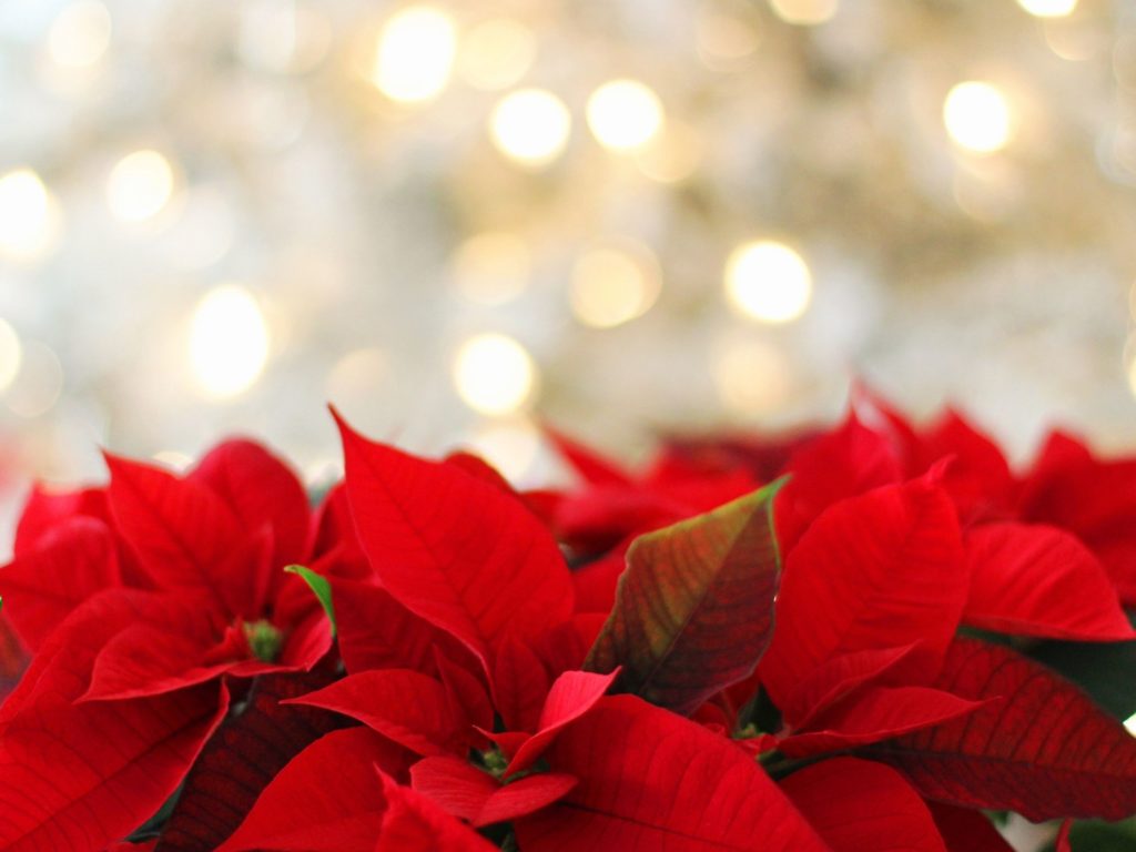 JUL