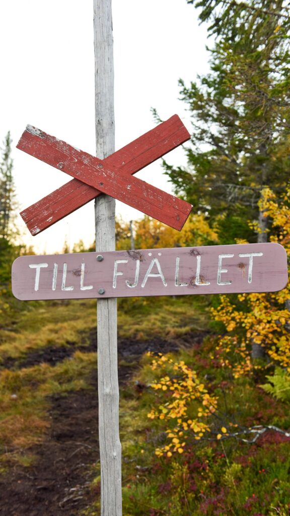 Bydalsfjällen Bydalen fjäll ledkryss höst till fjället Bydalsfjällen Bydalen fjäll ledkryss höst till fjället vandring